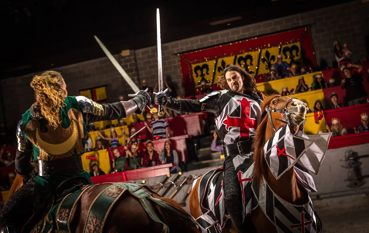 Medieval Times DISCOUNT dinner and tournament admission birthday offer and/or products