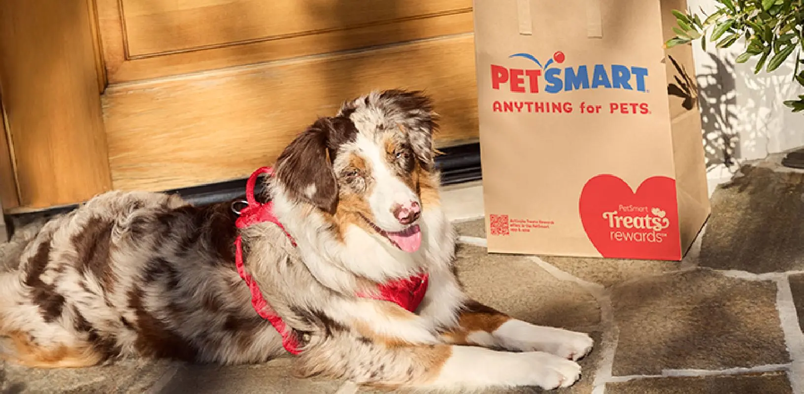 PetSmart REWARD 1,000 pts (worth $2 off) + 2x points on treats birthday offer and/or products